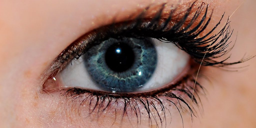 eye