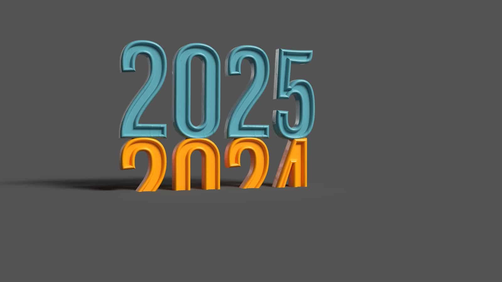 2024-2025